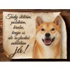 857 Cedulka Shiba Inu