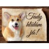 1087 Cedulka Welsh Corgi Pembroke