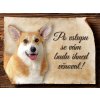 1090 Cedulka Welsh Corgi Pembroke