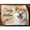 1179 Cedulka Akita Inu