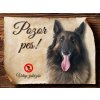 Cedulka Belgický ovčák Tervueren - Pozor pes zákaz/CP365