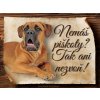 1654 Cedulka Cane corso