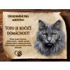 CZ044 Cedulka Kočka Nebelung 3