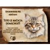 SK073 Cedulka Ragamuffin 3