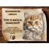 SK090 Cedulka Selkirk rex 5