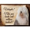 1645 Cedulka Bobtail