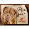 Cedulka Bordeauxská doga - Pozor pes zákaz/CP255