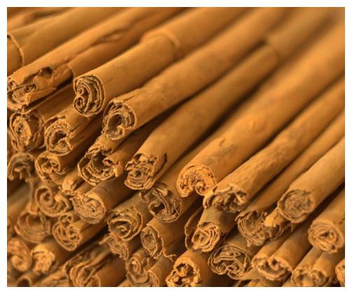 Jak odhalit nekvalitní cejlonskou skořici aneb Cesta do vřetene skořice