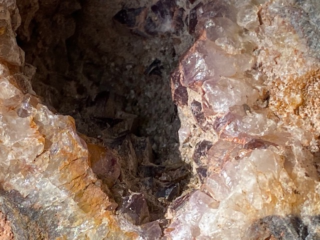 Květnice u Tišnova