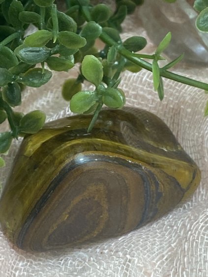 Tygří oko tromlované