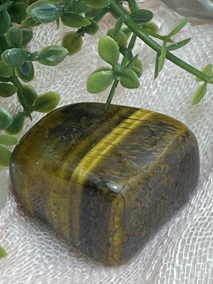 Tygří oko tromlované