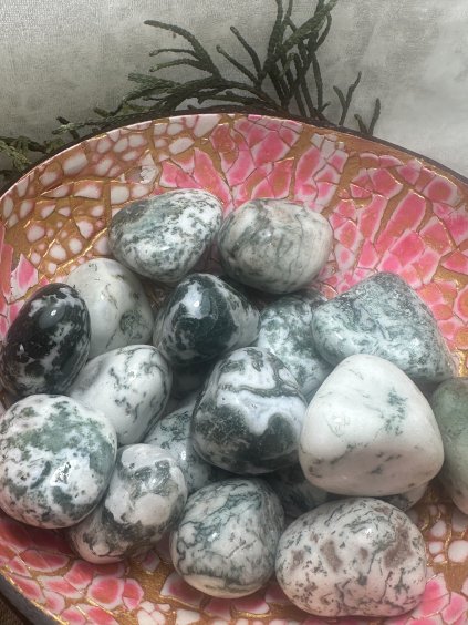 Achát stromečkový