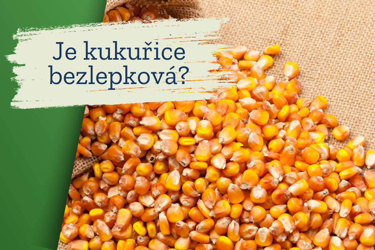 Je kukuřice bezlepková?