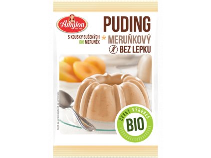 6054 merunkovy puding bio 40g