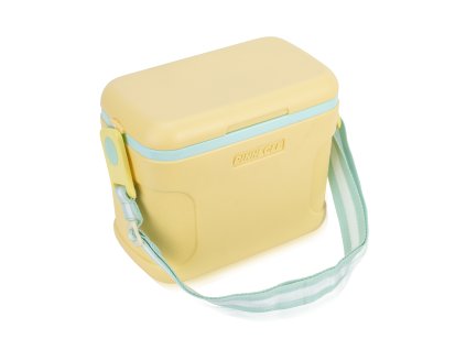 Passion 8 Ltr Yellow (11)