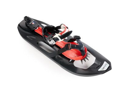 130291c6 sneznice inook e r