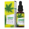 Cannabivet WebRes