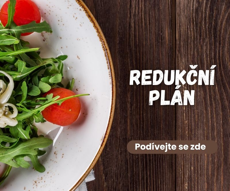 REDUKČNÍ PLÁN