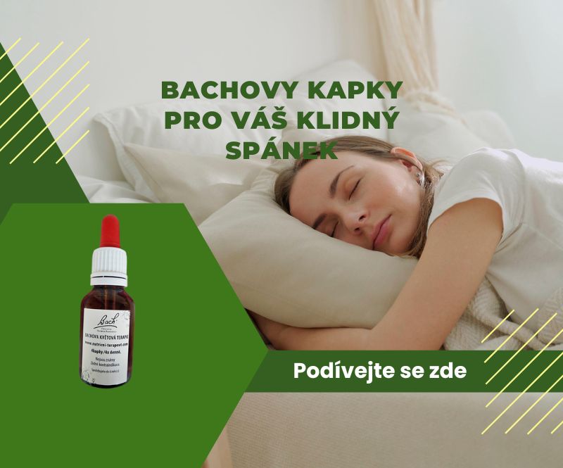 BACHOVY KAPKY