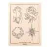 tattoo supplies practice skins 27 2