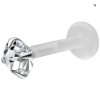 Screenshot 2025 10 23 at 18 14 59 Push Fit Crystal Labret Wildcat International