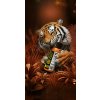 tiatc tiger orange hero 1 highres