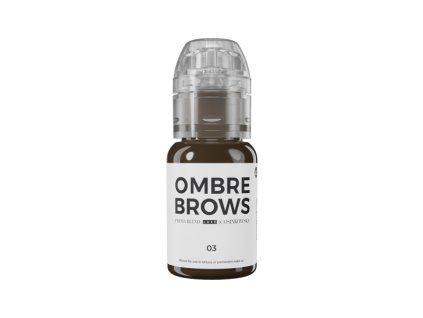 pbl paulina osinkowska ombre brows 03 1