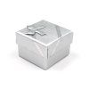 31607 papirova krabicka na piercing a sperky s masli stribrna