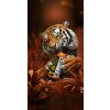 tiatc tiger orange hero 1 highres