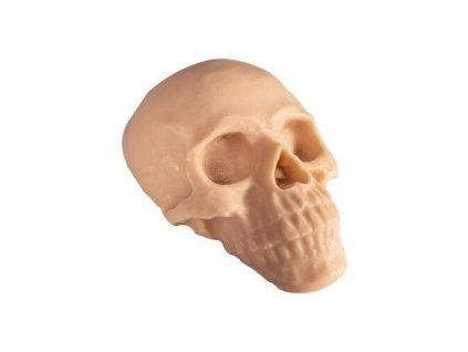 Reelskin Synthetisch Oefenschedel