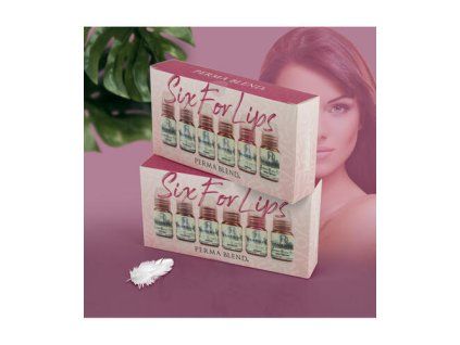 PERMA BLEND - SET VAN ZES VOOR LIPPEN 6 X 15ML