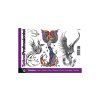 Tattoo Professional 12 - Feniks