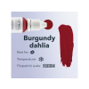 Amiea - Burgundy Dahlia 10ml