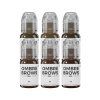 Perma Blend Luxe PMU Ink - Paulina Osinkowska Ombre Brows Set - 6x 15 ml