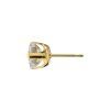 Oorbellen voor piercing Sensitive Cubic Zirkon S748 - goud