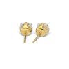 Oorbellen voor piercing Sensitive Cubic Zirkon S748 - goud