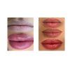 PERMA BLEND LUXE - Evenflo PMU Ink - True Lips Set 6 x 15ml