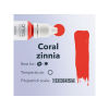 Amiea - Coral Zinnia 10ml