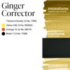 ginger corrector2