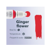 ginger flower2