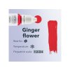 ginger flower2