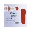 choco aster2