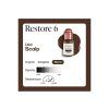 restore66