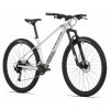 Kolo MTB ROCK MACHINE Manhattan 90-29 2022 gloss silver-black-grey