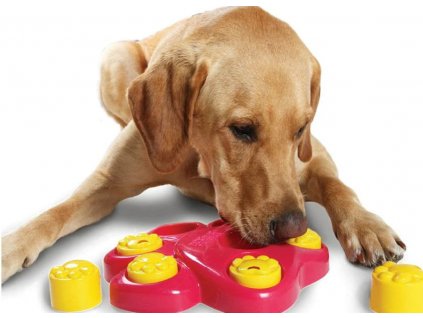 paw hide hlavolam psy 8