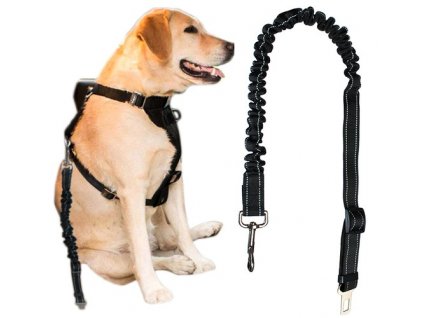 bezpecny voditko psy auta 1