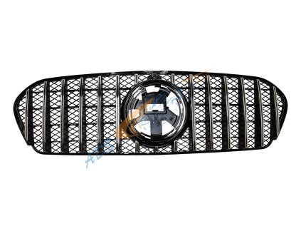 W167 GTR AMG SIlver 20 Present (1)