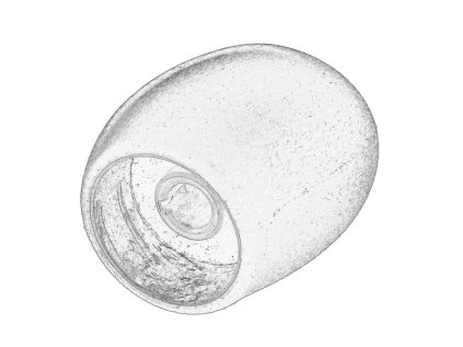 8bafa1d57e7557df078e4cfed1ebbe3f6dba7b5c68ab8ff26377782606fbac842e38ccbc822fc0a8ee1b6eff88f289695cb9aff910b7bd849cfce396ae80dd2f