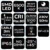 303524 12 99 061 d1w1 bne tdp