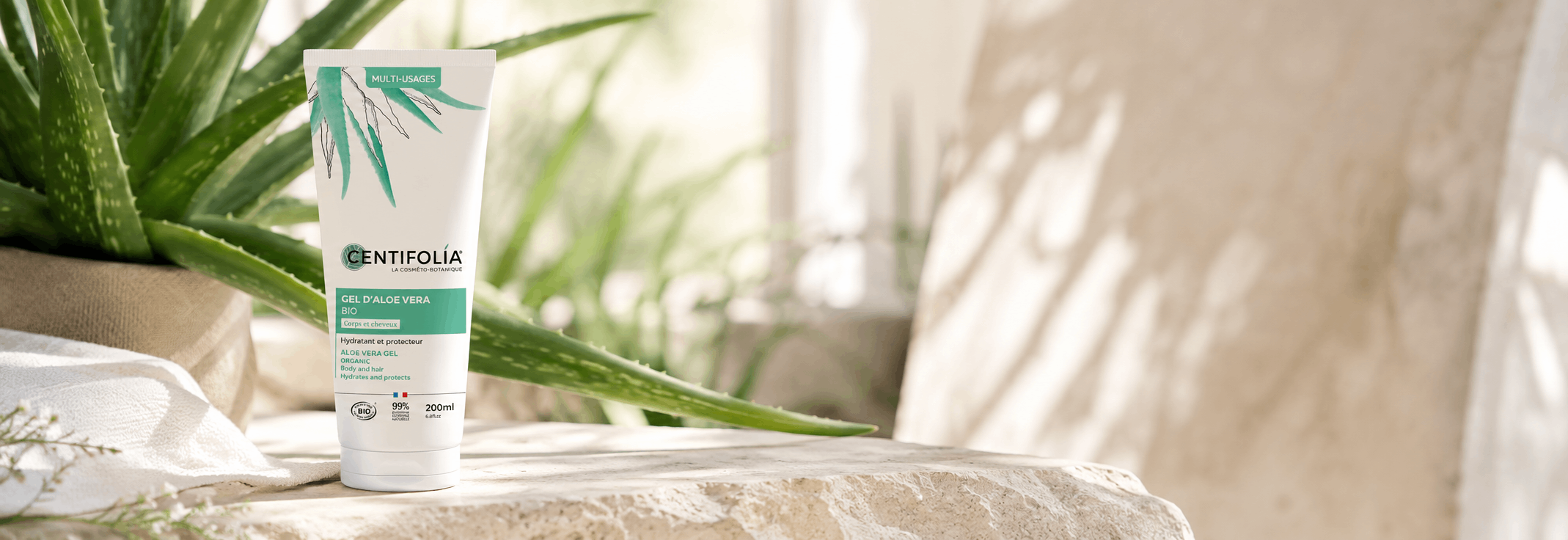 Aloe Vera